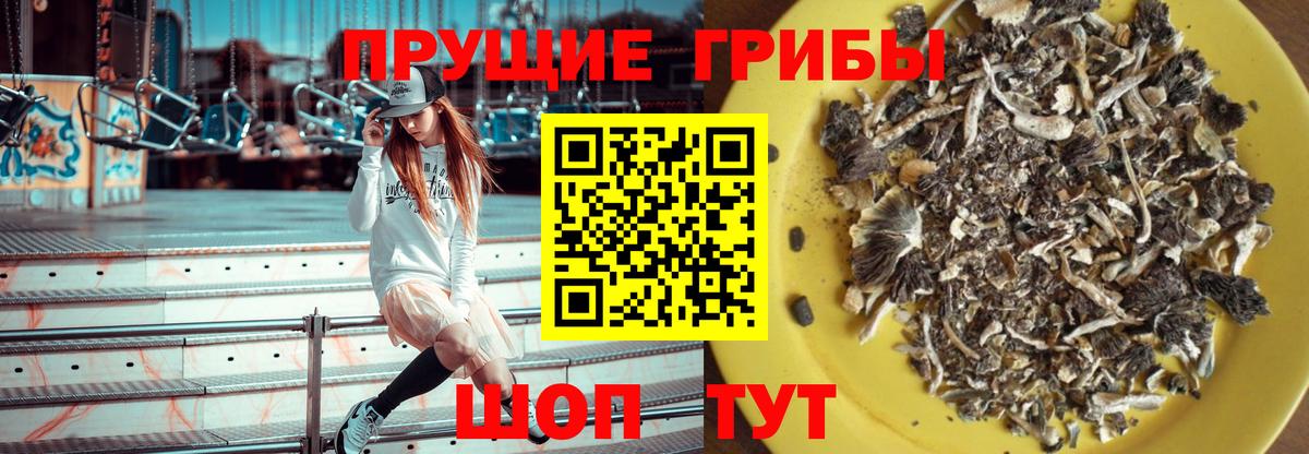 Псилоцибиновые грибы Psilocybine cubensis Скопин