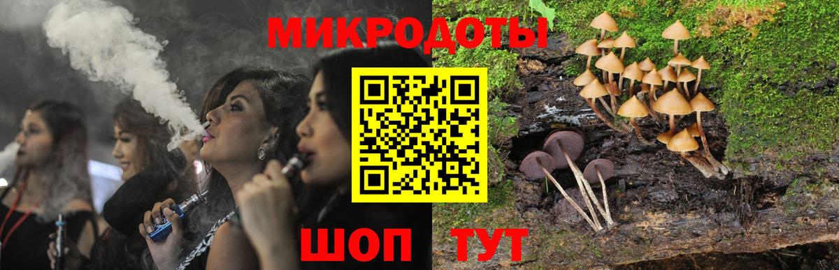 Галлюциногенные грибы Psilocybine cubensis  Вход с VPN  как найти   Скопин 
