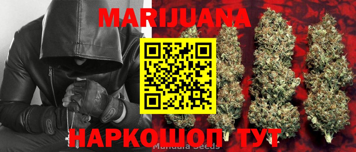 Каннабис OG Kush Скопин
